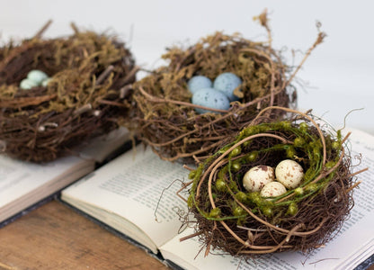 Decorative Bird Nests-Set of 3