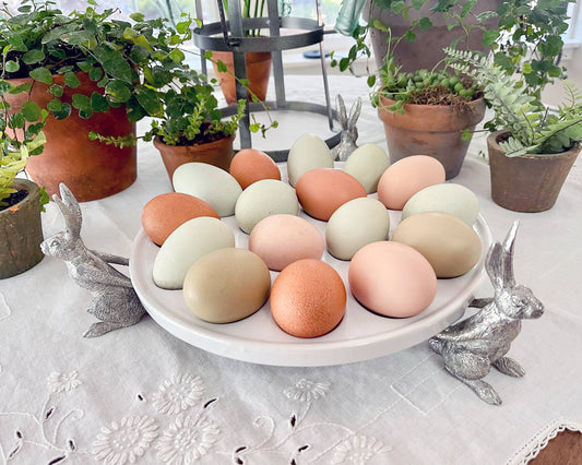 Rabbit Deviled Egg Holder (2 pcs set)