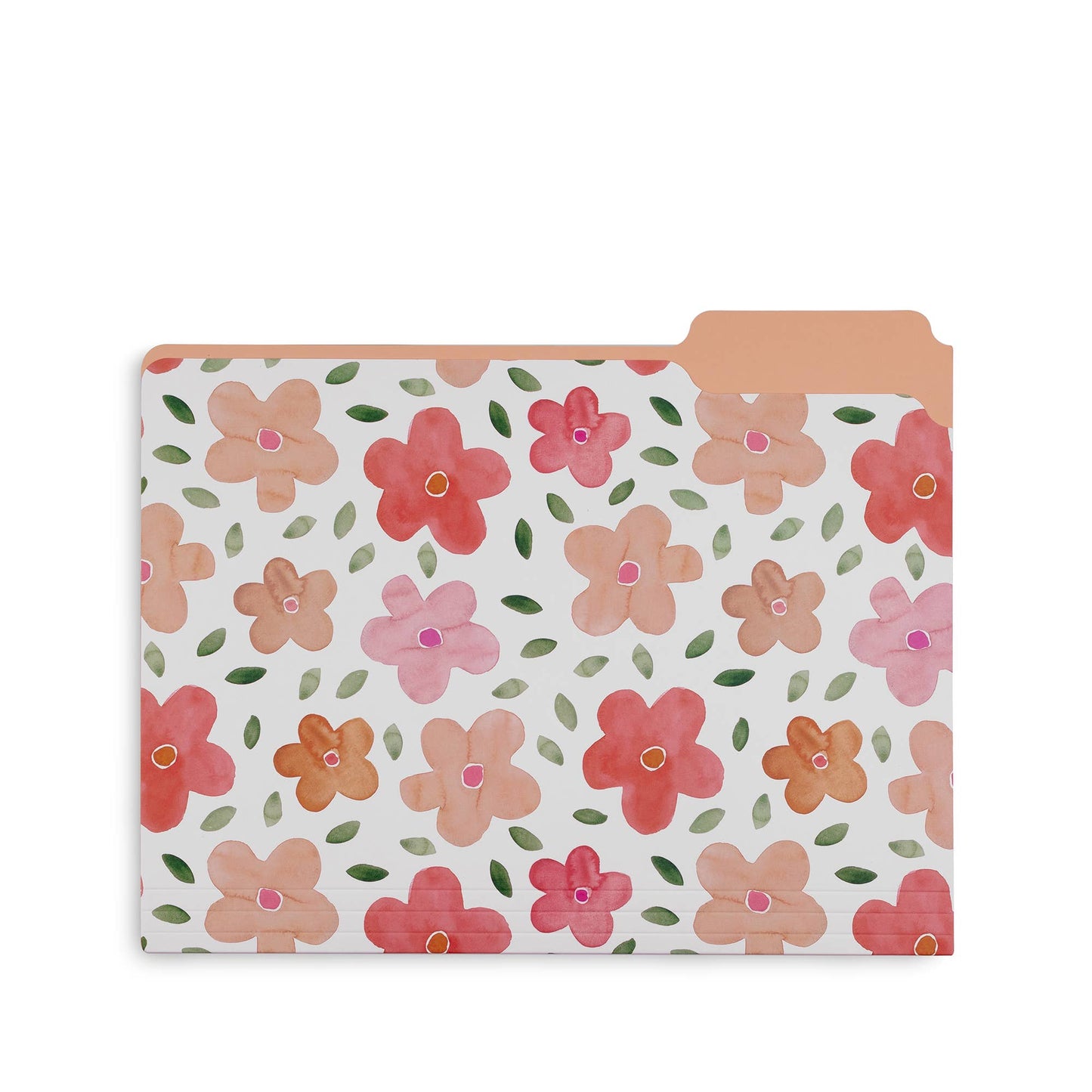 File Folders, Full Posey/Scattered Posey/Bold Floral-Set of 9
