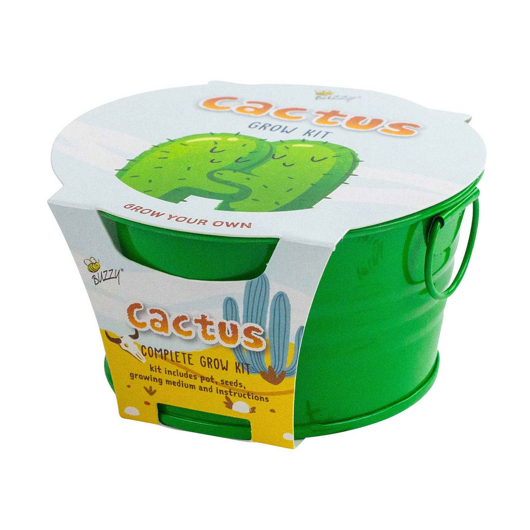 Kids Mini Painted Basin Cactus Grow Kit | Indoor Kit | Gift