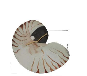 Nautilus with glitter greeting card