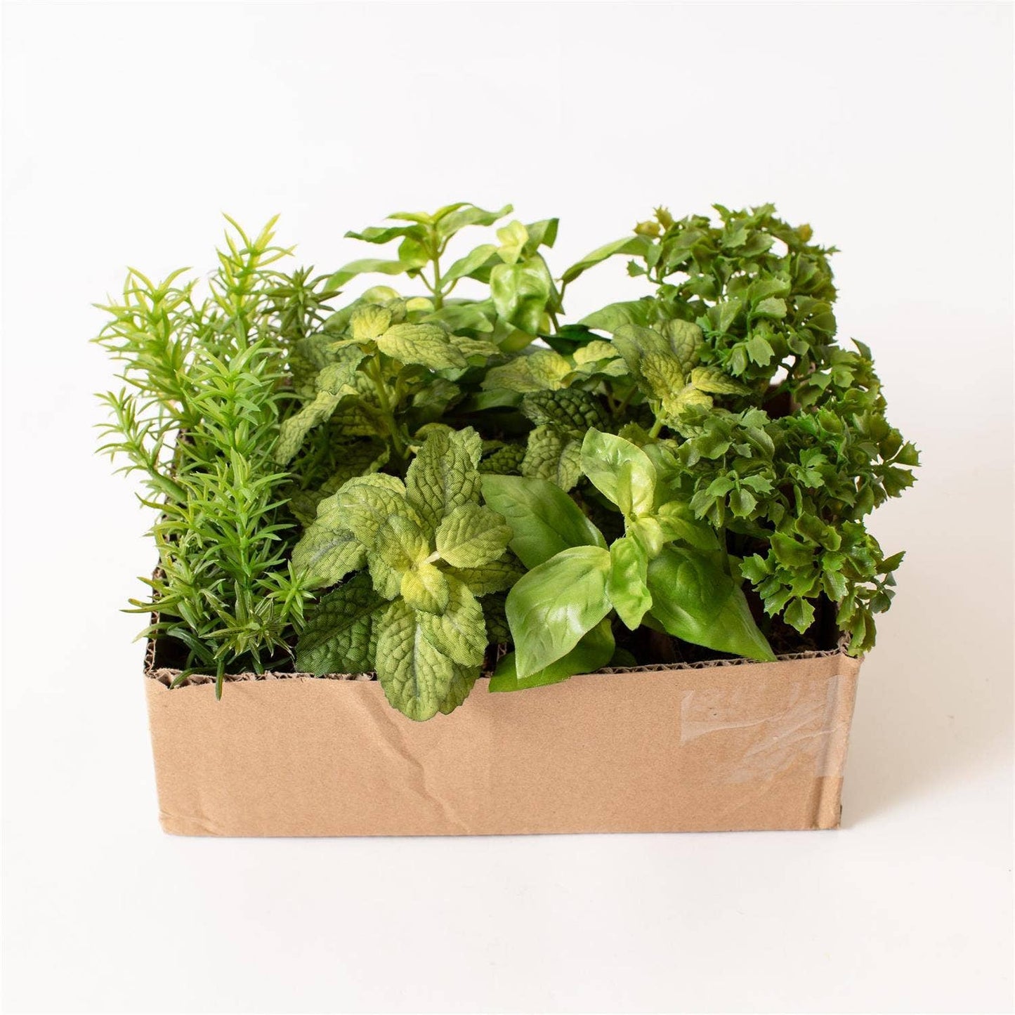 Herbs In Soil Unpotted Sold Separately