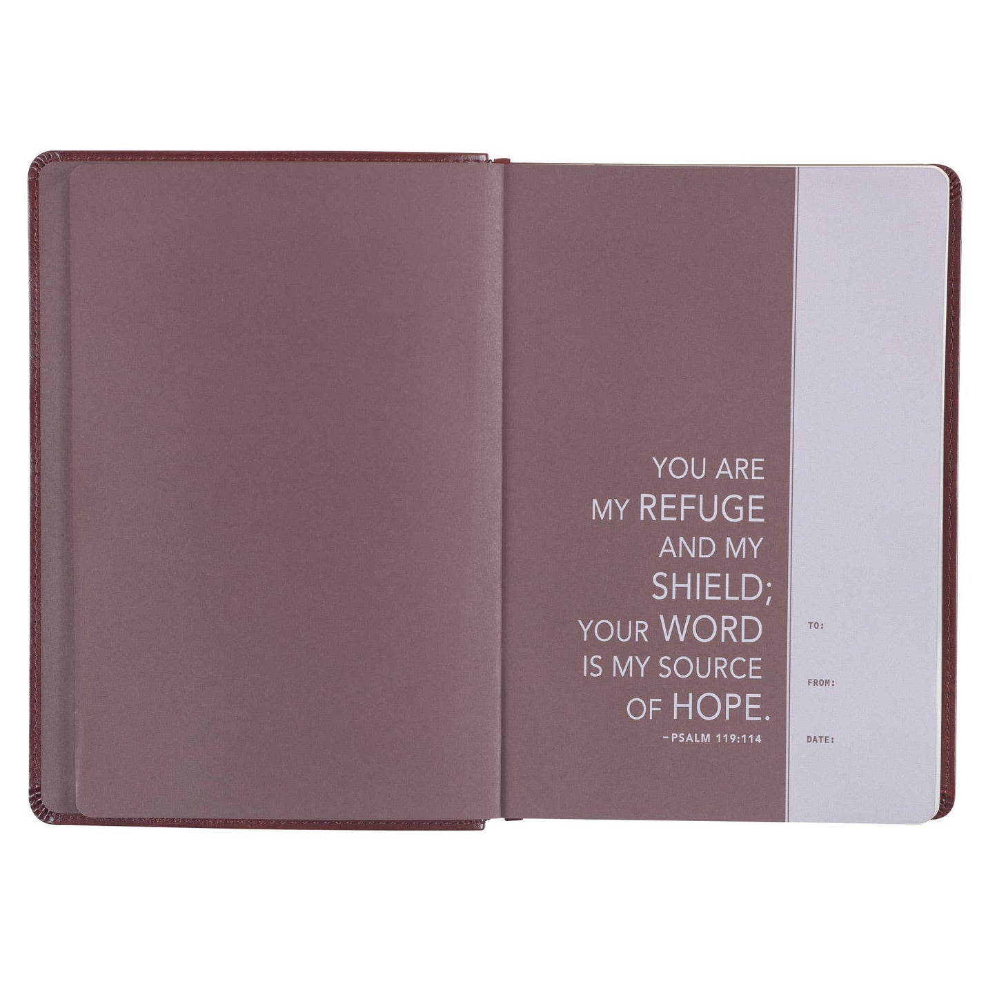 Christian Art Gifts - Devotional Bible NLT for Men Faux Leather, Saddle Tan