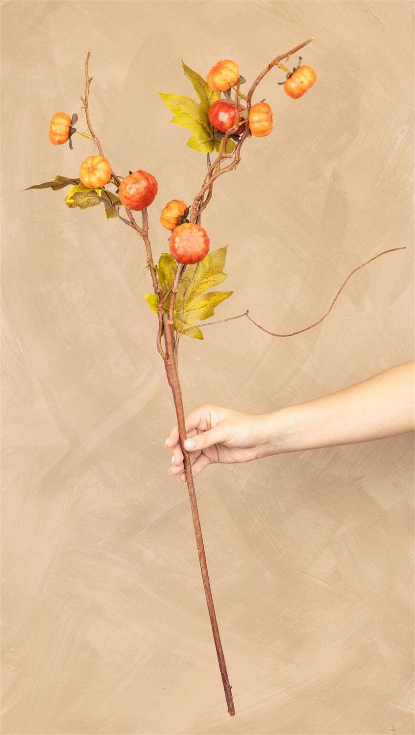 Stem - Pumpkin Branch Orange