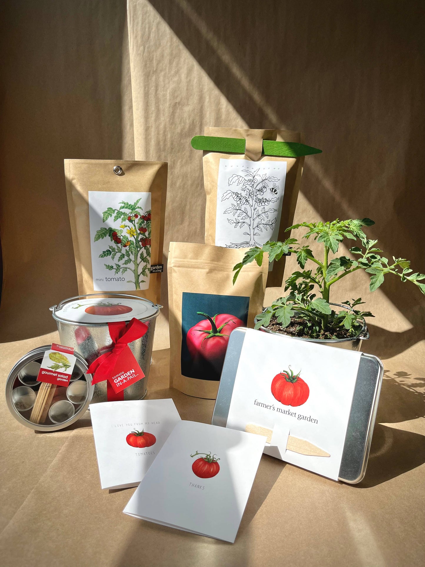 Garden in a Box | Vegetable Garden