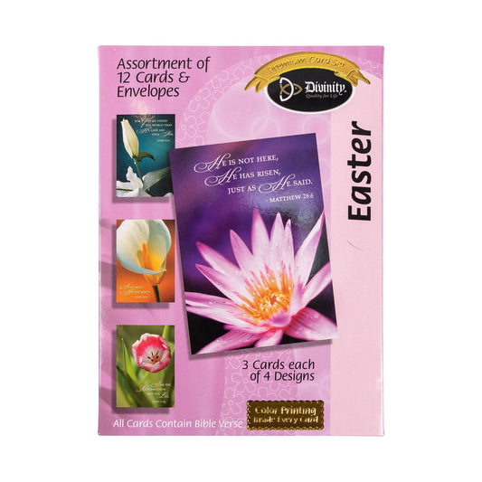 Divinity Boutique - Boxed Cards: Easter, Spring Flowers