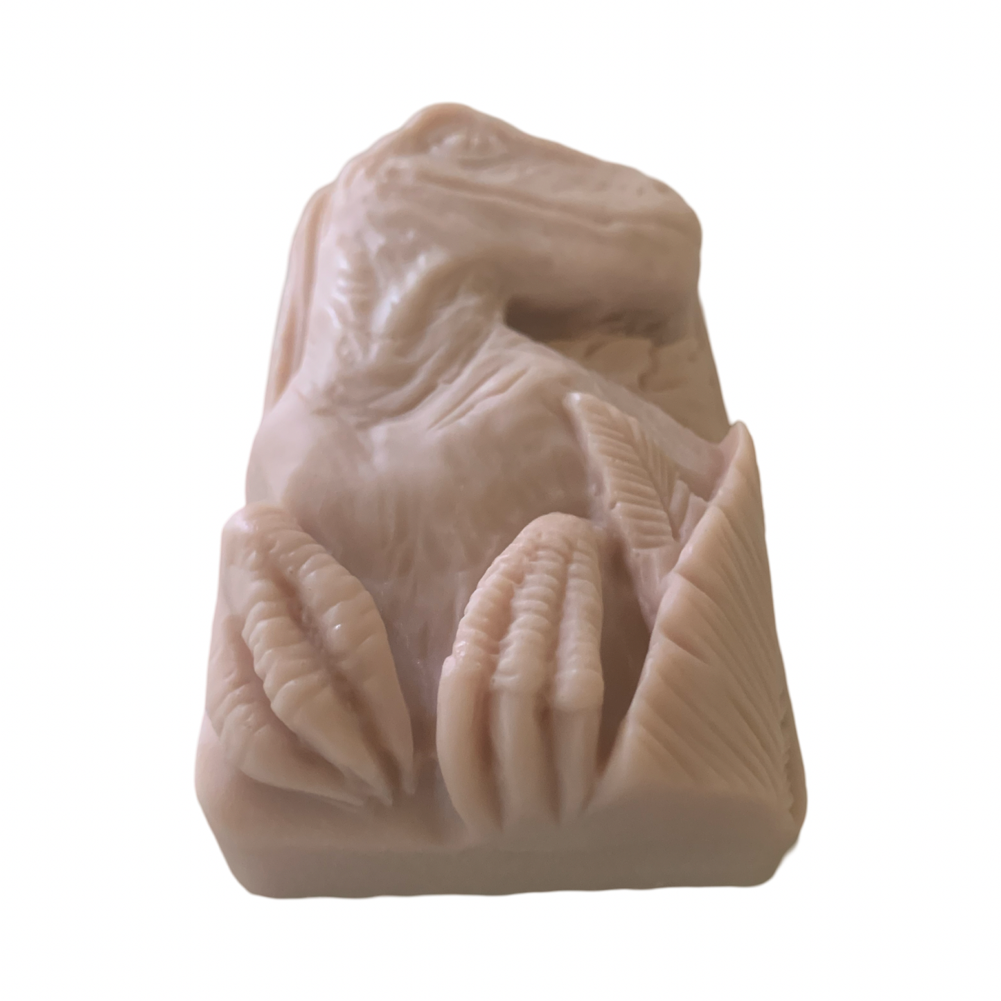 3D Dinosaur Bar of Soap