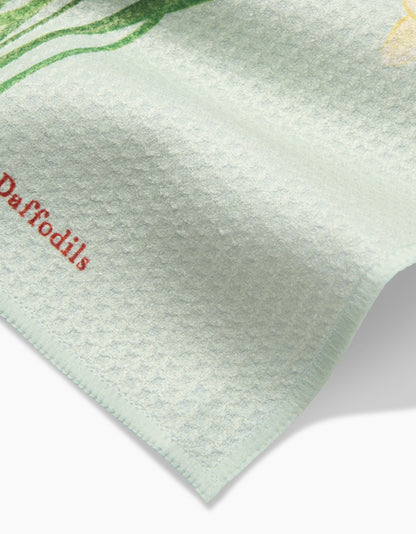 March Daffodils Dishcloth Set