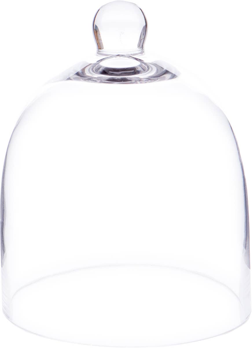 Bell Jar Glass Display Dome Cloche  6" x 7"