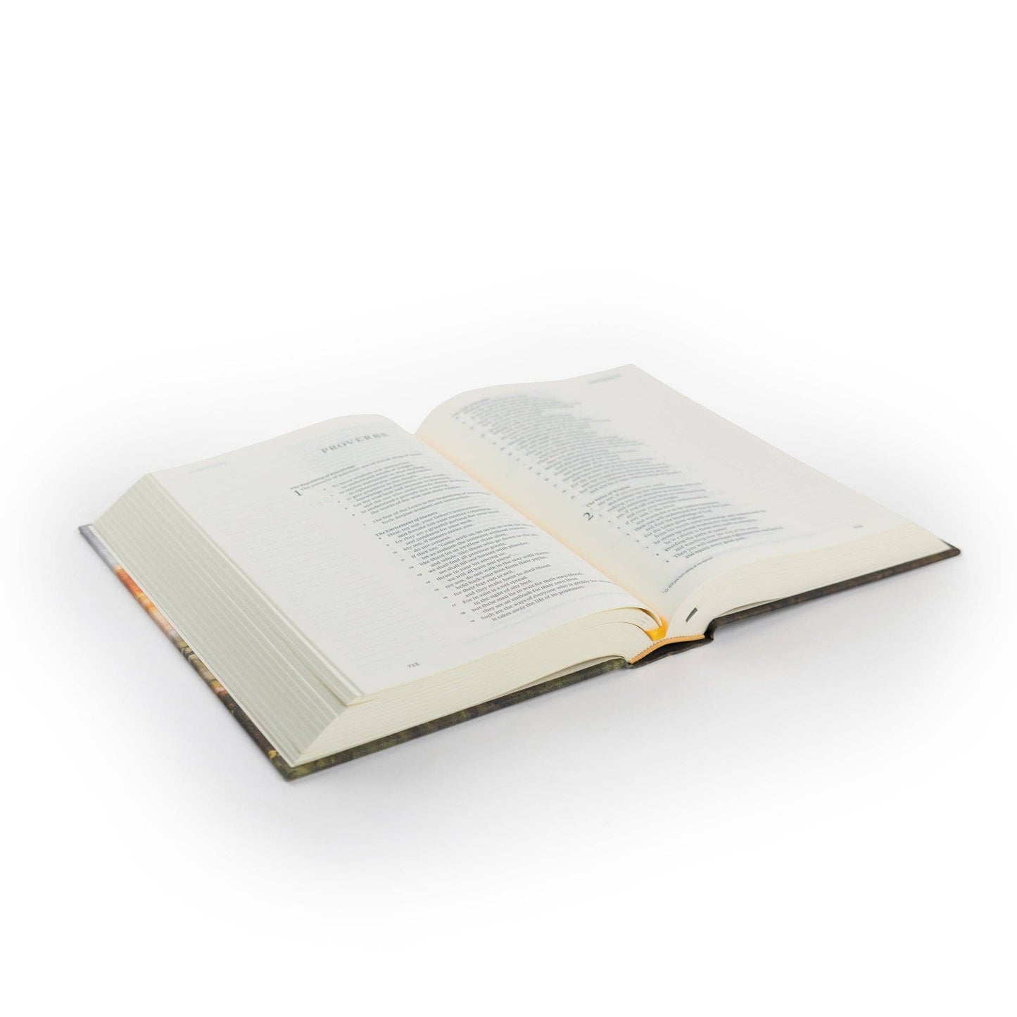 ESV Journaling Bible: Florence Theme