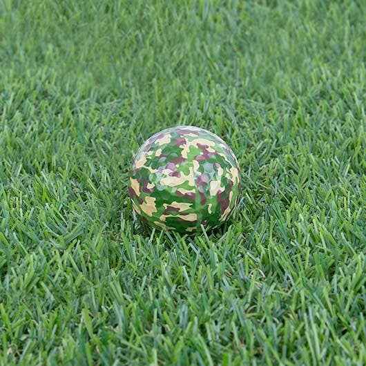 Camo Golf Balls