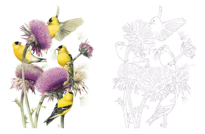 Posh Adult Coloring Book: Inspired by Nature by Marjolein  Bastin