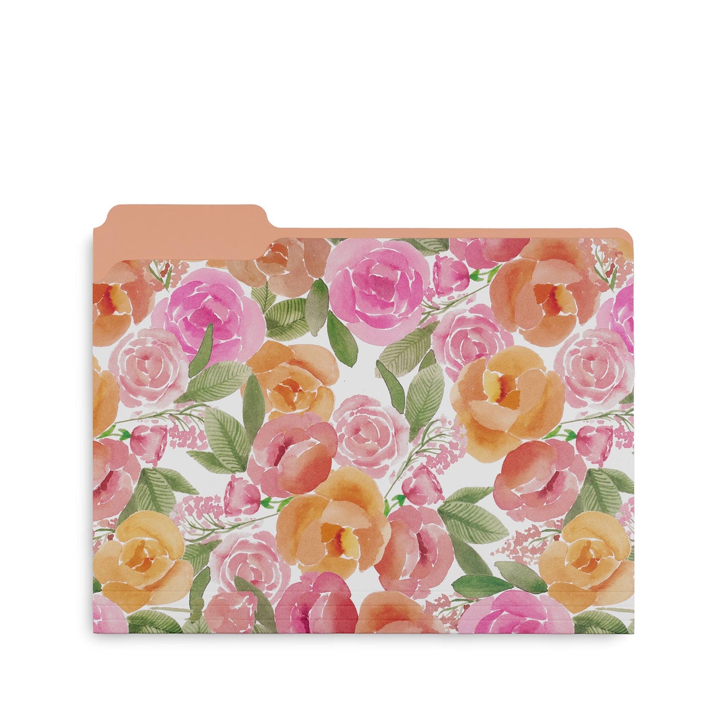 File Folders, Full Posey/Scattered Posey/Bold Floral-Set of 9