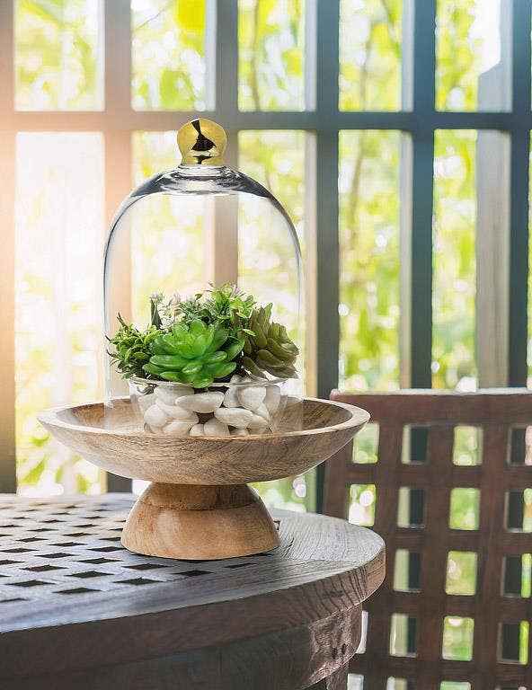 Bell Shaped Cloche with Gold Knob