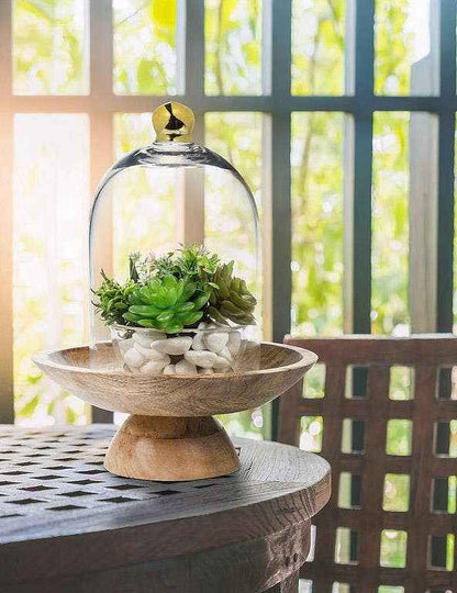 Bell Shaped Cloche with Gold Knob