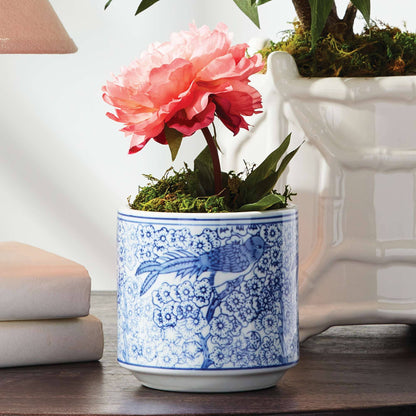 Mini Peony Potted 6.5" Coral