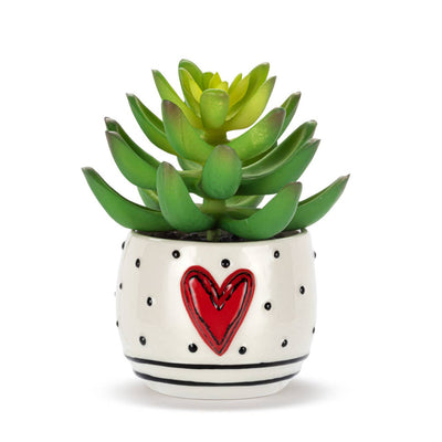 Mini Succulent Heart & Dots