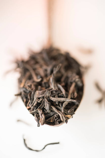 Monista Tea Co. - Amsterdam Breakfast Tea Refill Box