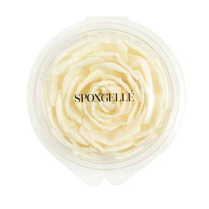 Valentines Day Gifts | Easter Gifts - Rose Floret Replacement