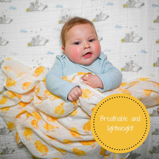 LollyBanks - Peep Peep Baby Muslin Swaddle Blanket