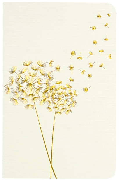 Jotter Mini Notebook Set: Dandelion Wishes