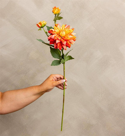 Stem - Dahlia Orange
