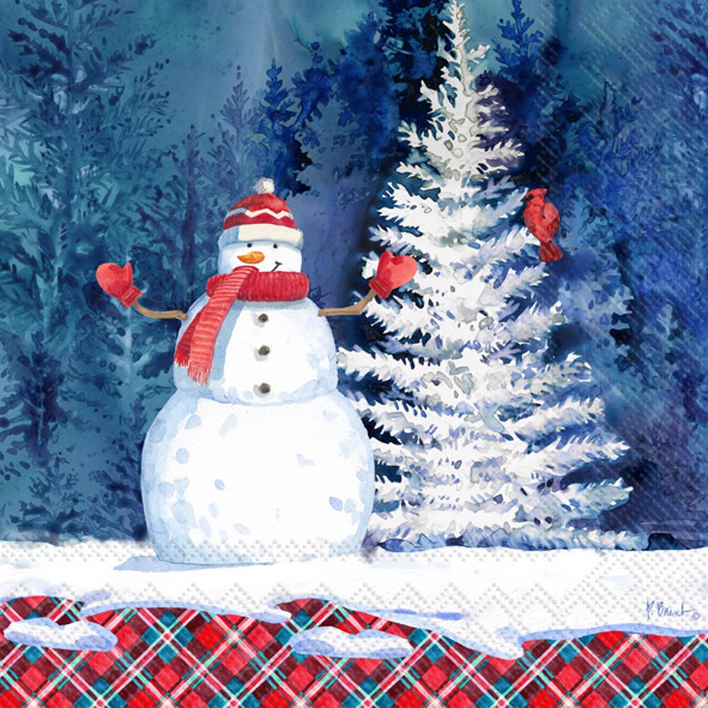 Paper Cocktail Napkins Pack of 20 Frosted Snowman Christmas