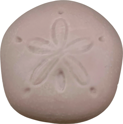 Sand Dollar Soap