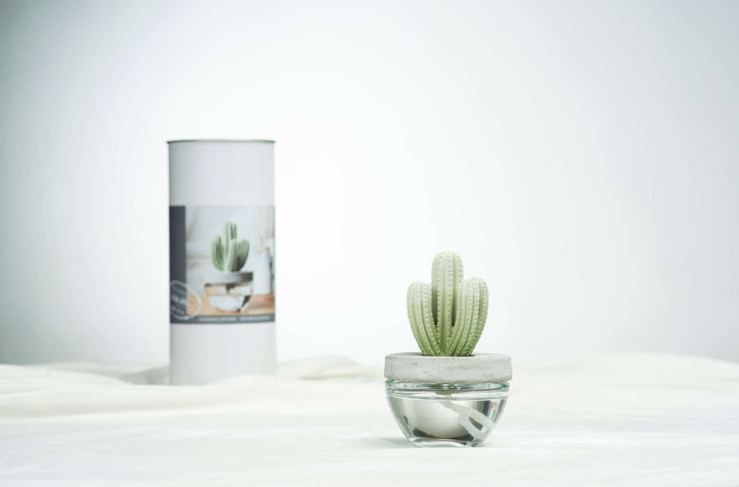 Saguaro Cactus ceramic diffuser gift set -100ml