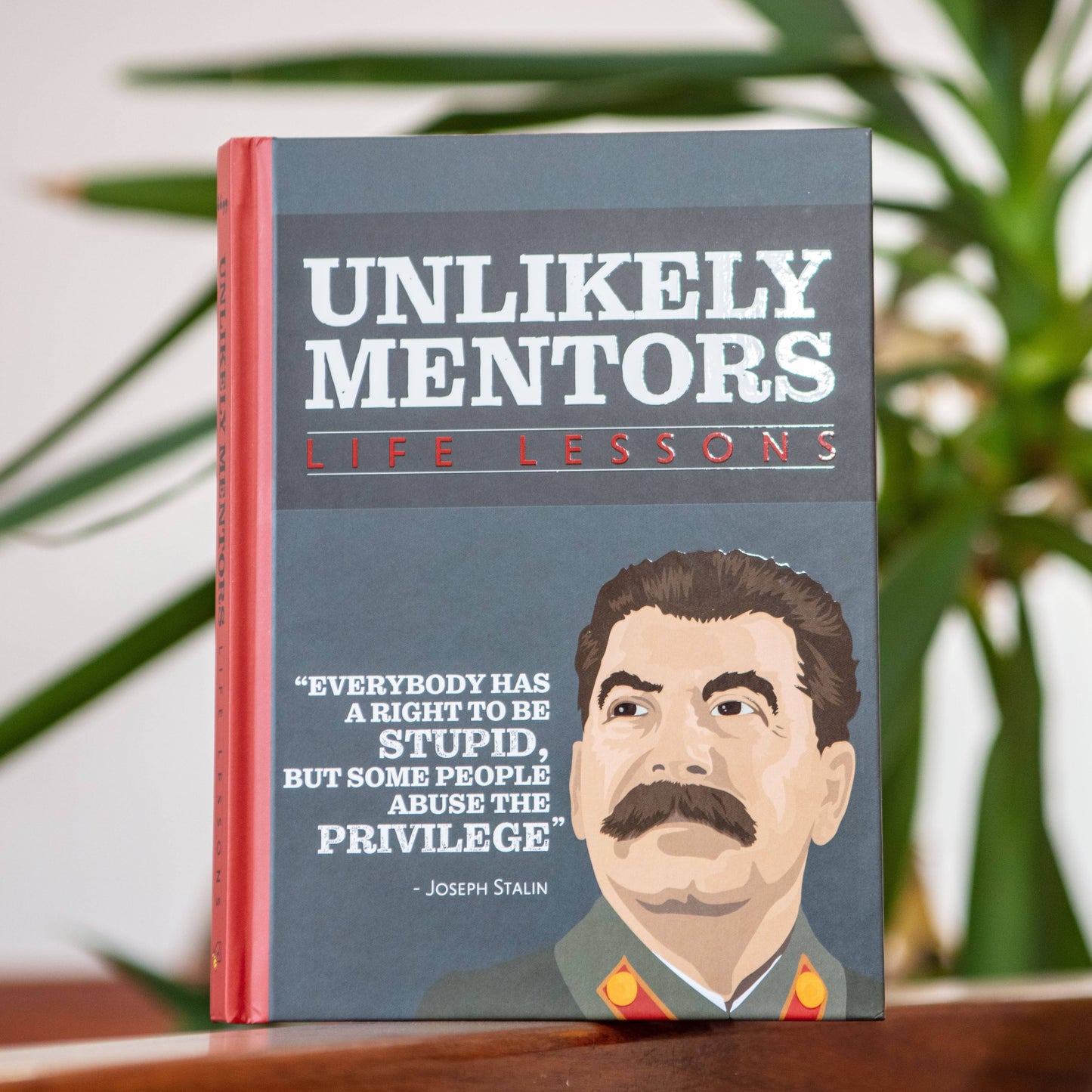 Life Lessons From Unlikely Mentors - Humor Gift Books
