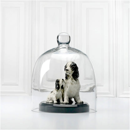 Bell Jar Glass Display Dome Cloche 7.875" x 9.5"
