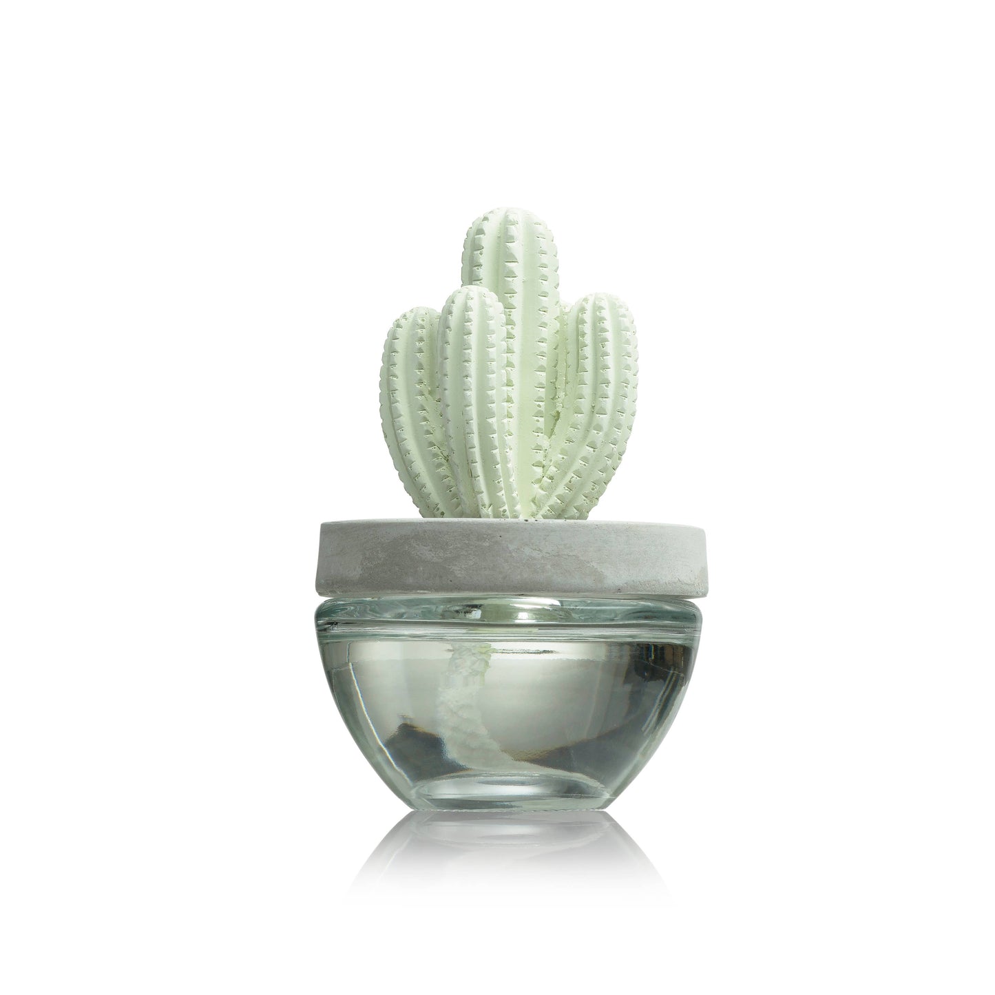 Saguaro Cactus ceramic diffuser gift set -100ml