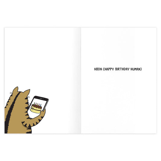 Cat Text Acronyms Birthday Card