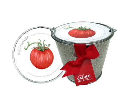 Garden in a Pail | Mini Tomato |Easy Spring Container Garden
