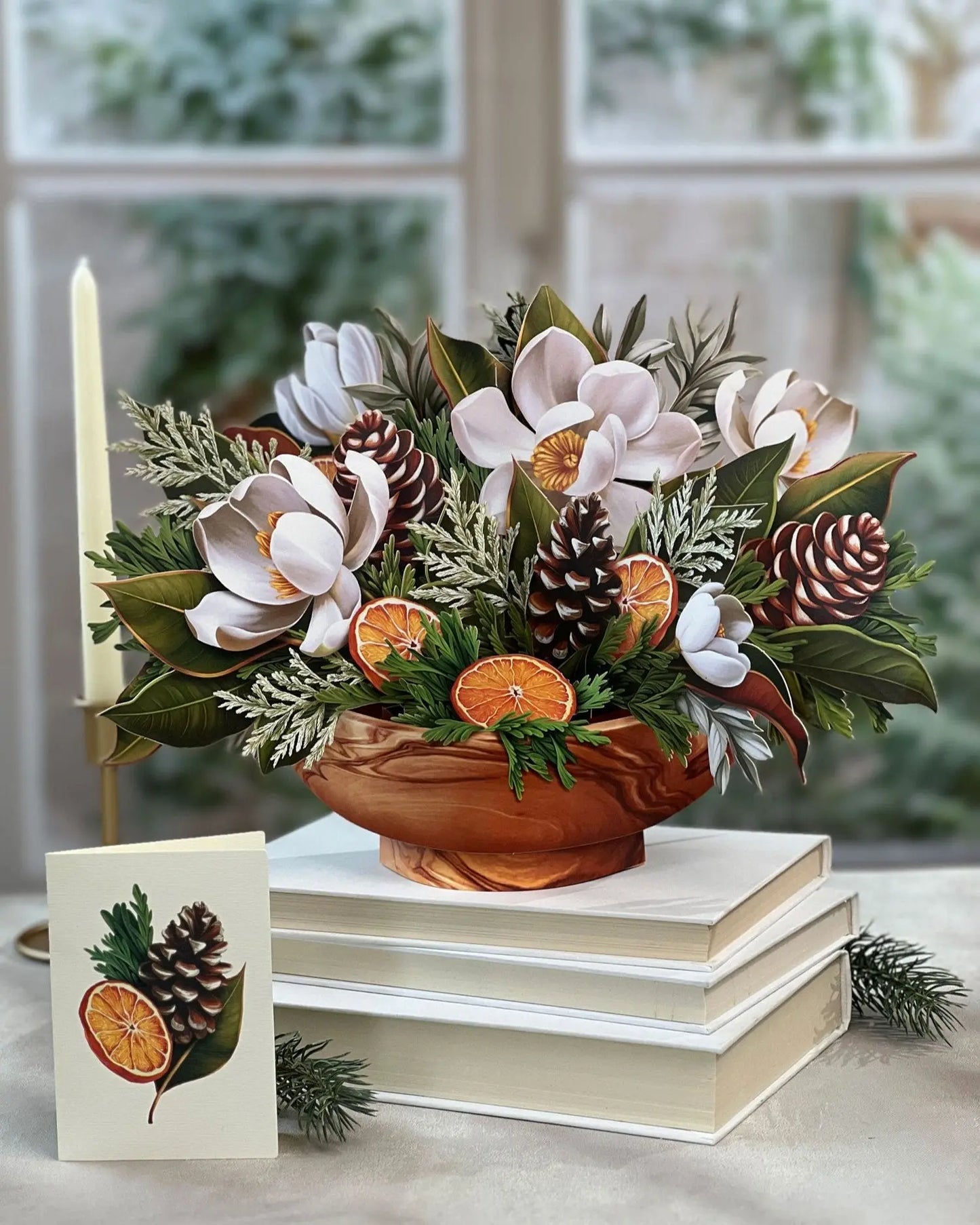 Winter Magnolia