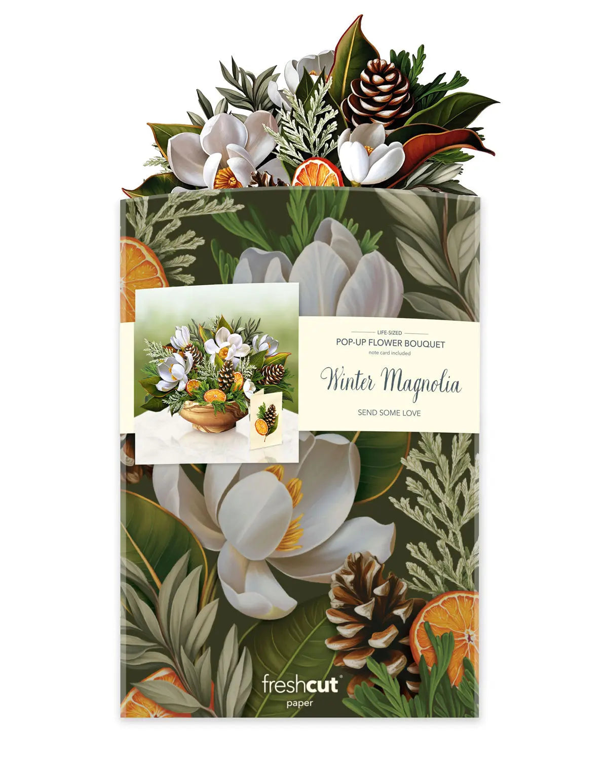 Winter Magnolia