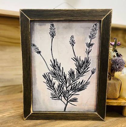 Spanish Lavender Illustration