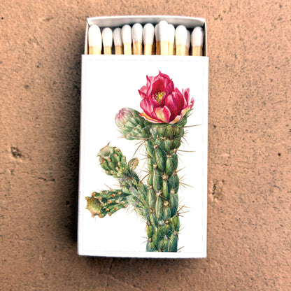 Matches • Walkingstick Cholla Cactus