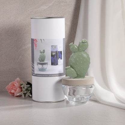 Bunny Ear Cactus Ceramic Diffuser Combo/Sweet Azale- 2PCS