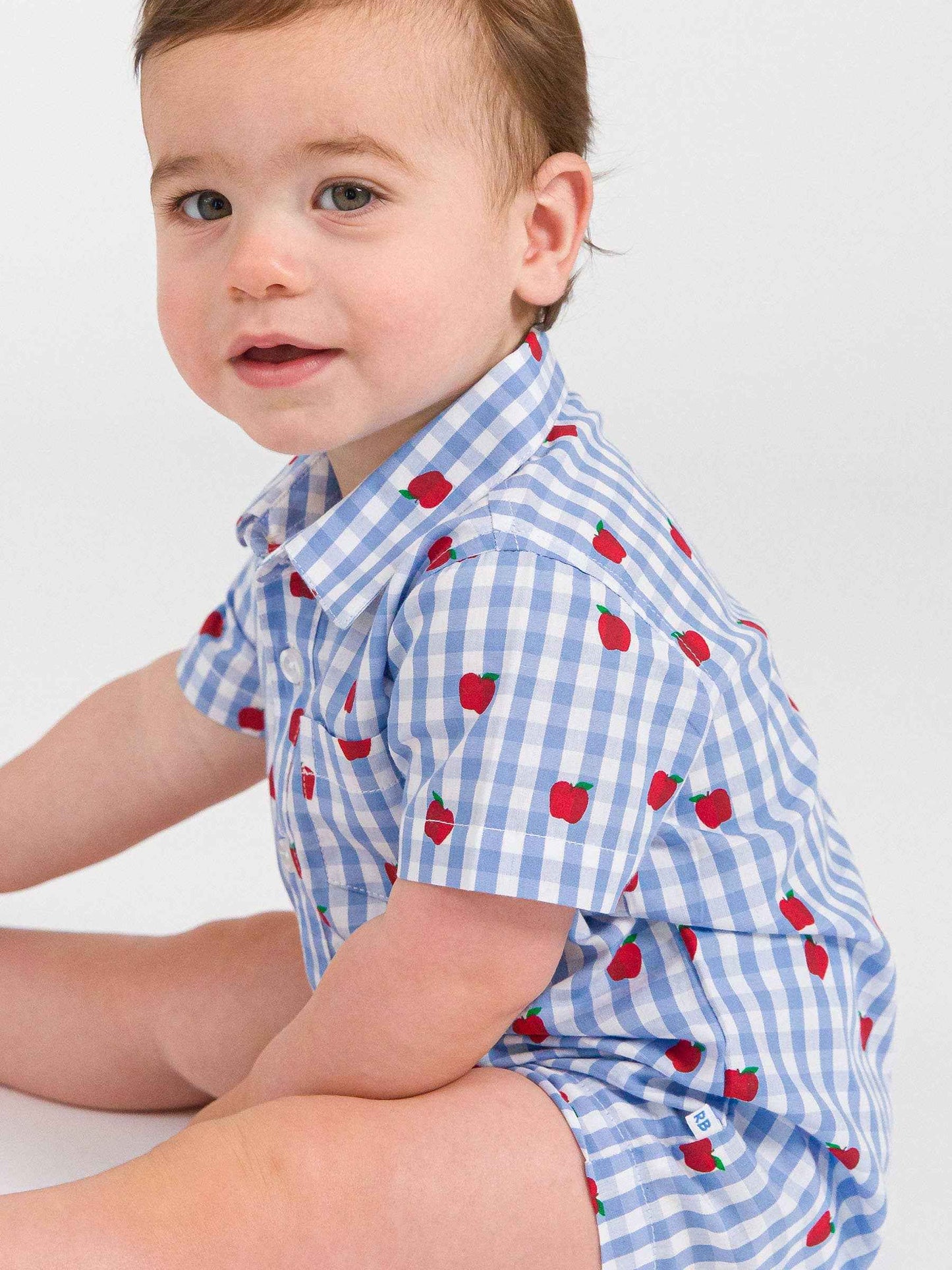 Baby Boys Apple Orchard Classic Gingham Short Sleeve Woven Button-Up Romper: Blue / 0-3m