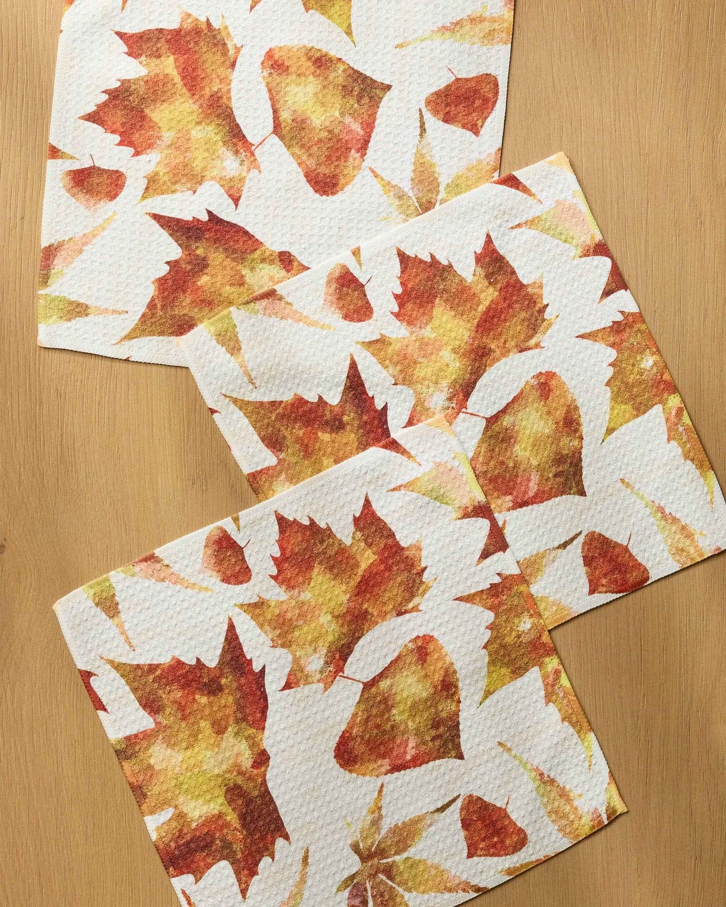 Painted Fall Dishcloth Set