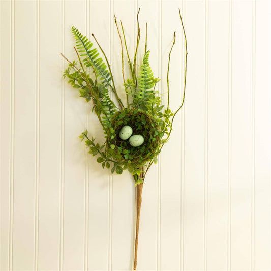 Ferns With Bird Nest