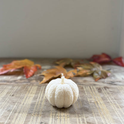Pumpkin candle-sold separately