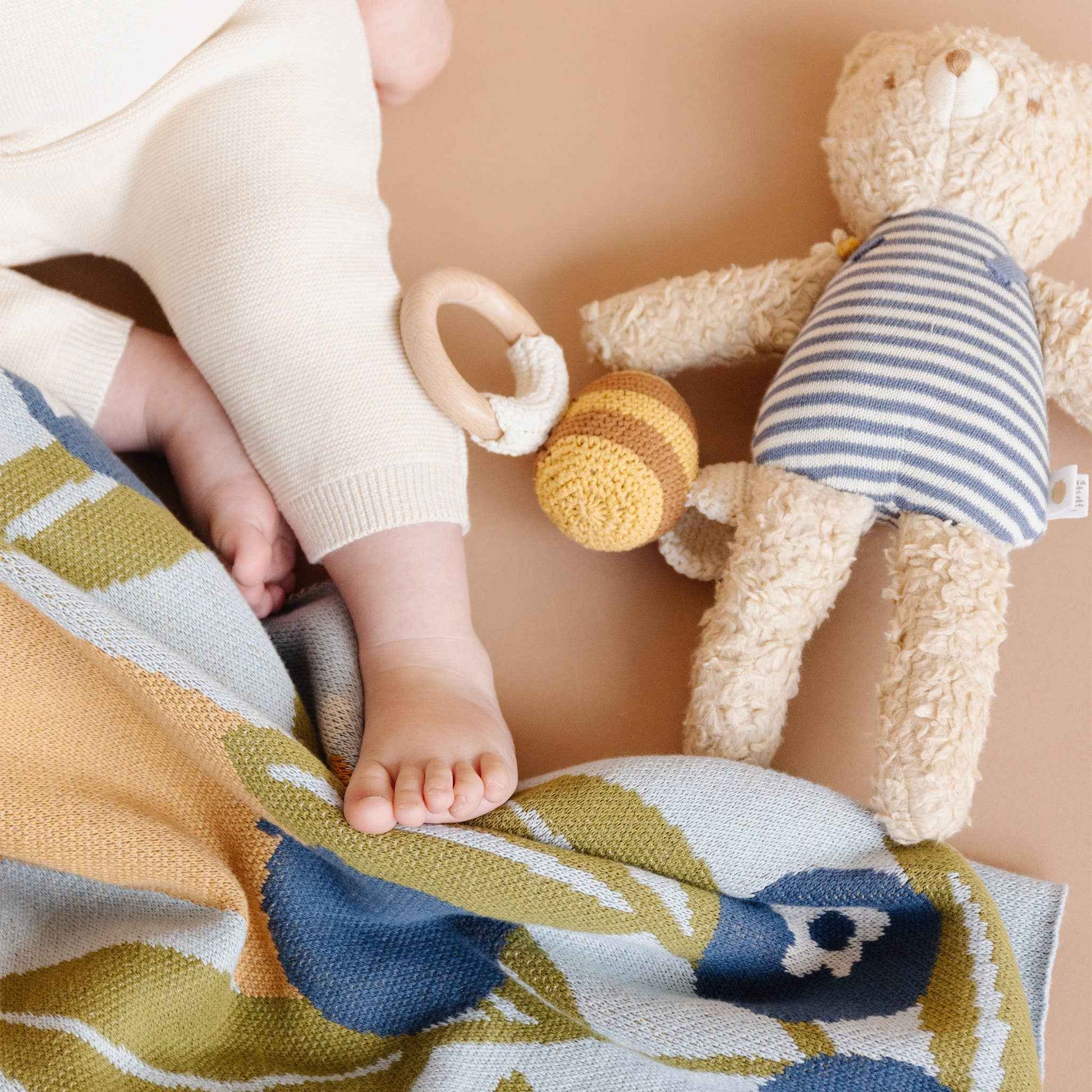Set Blueberry Blanket Hat Teether Baby Newborn Shower Gift: Brown Bear