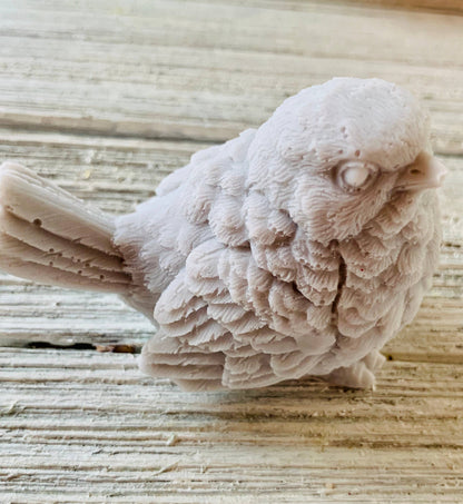 Bird Soap