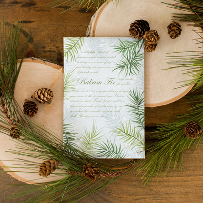 Fresh Scents Balsam Fir Sachets