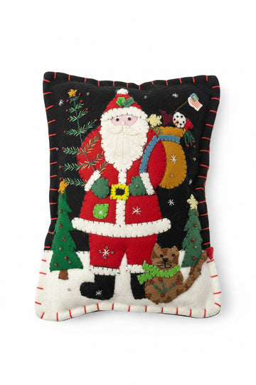 Santa with cat pillow 8x11