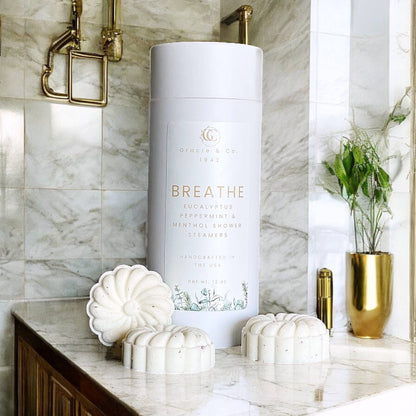 Organic Botanical Aromatherapy Shower Steamers