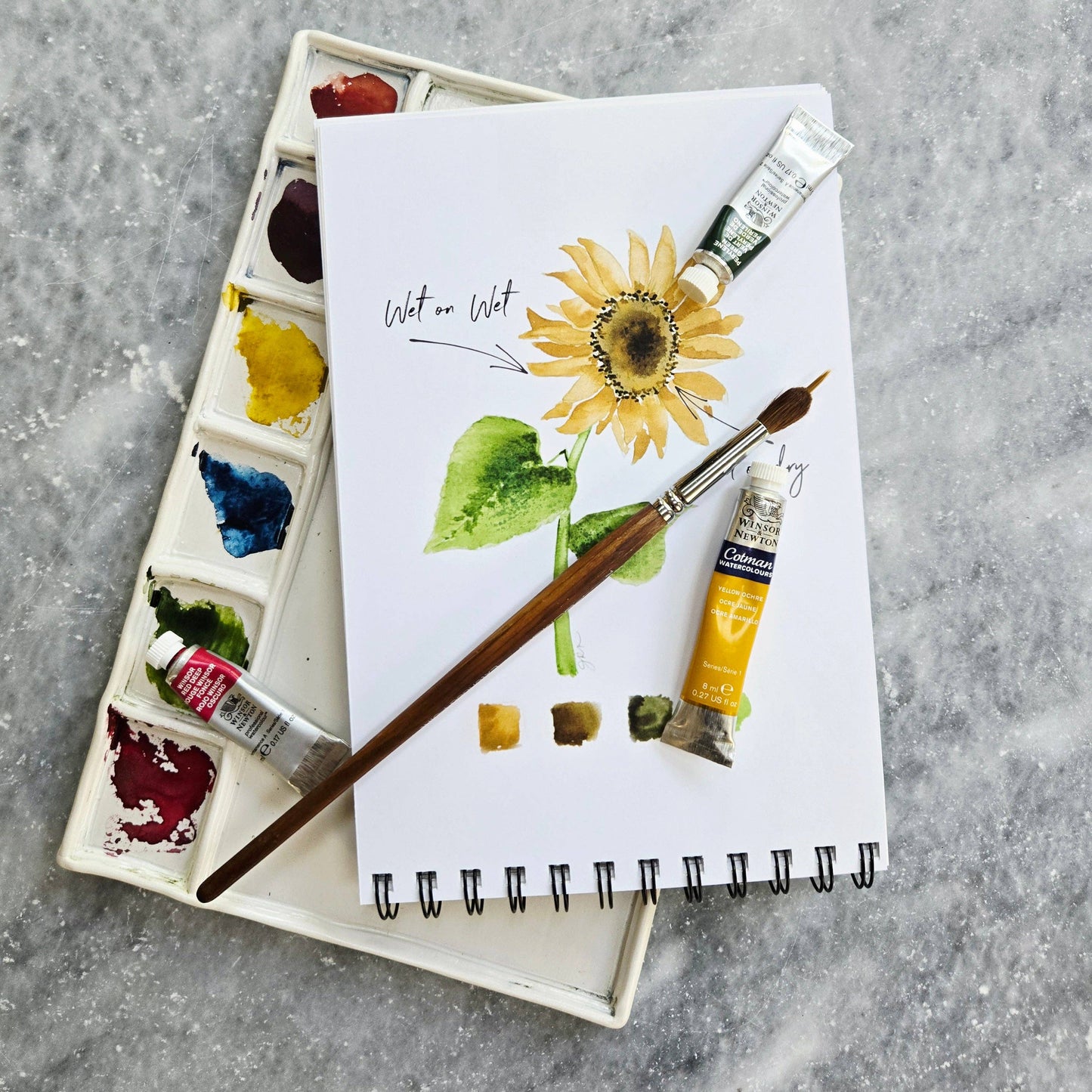 Watercolor Workbook, Spiral Bound 12 Months of Watercolor