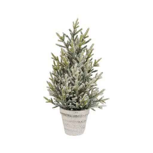A02505:TP fir tree,flock branches,white pot 15.75 in
